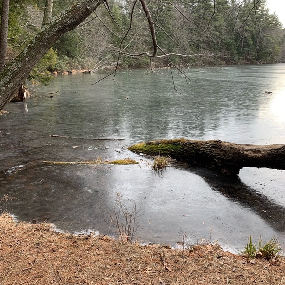 Meet your Posher, Jane - Picture 1 of 1